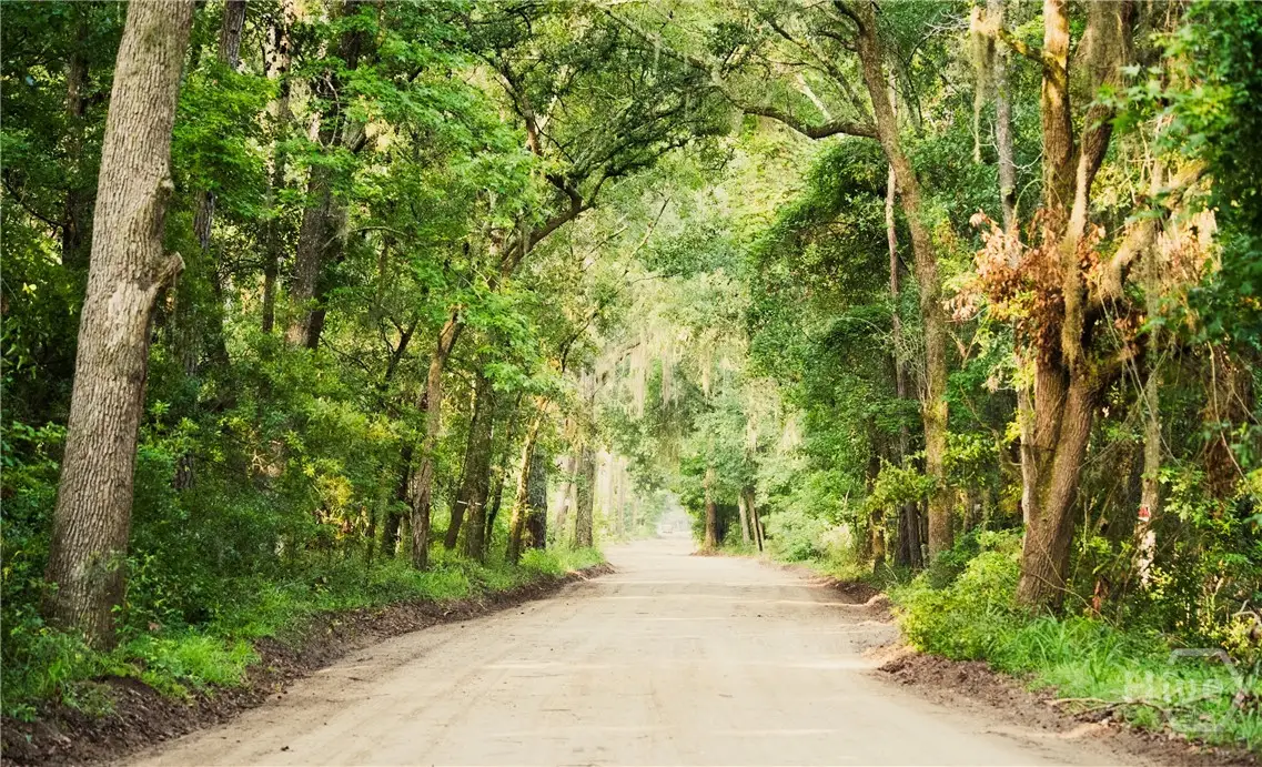 74 Prospect Road, Daufuskie Island, SC 29915 - #1