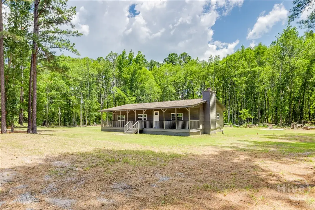 4112 Seed Tick Road, Ellabell, GA 31308 - #1