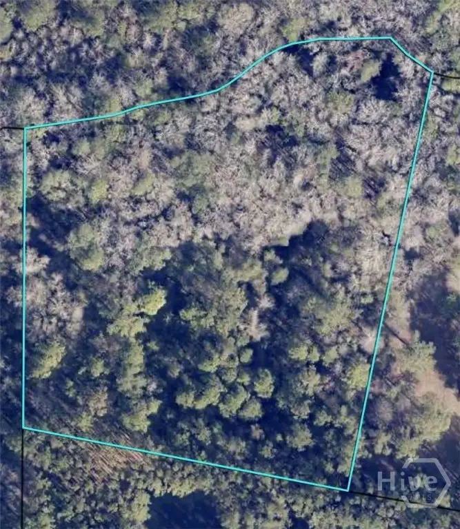 0 Honey Dew Lane, Brooklet, GA 30415 - #1