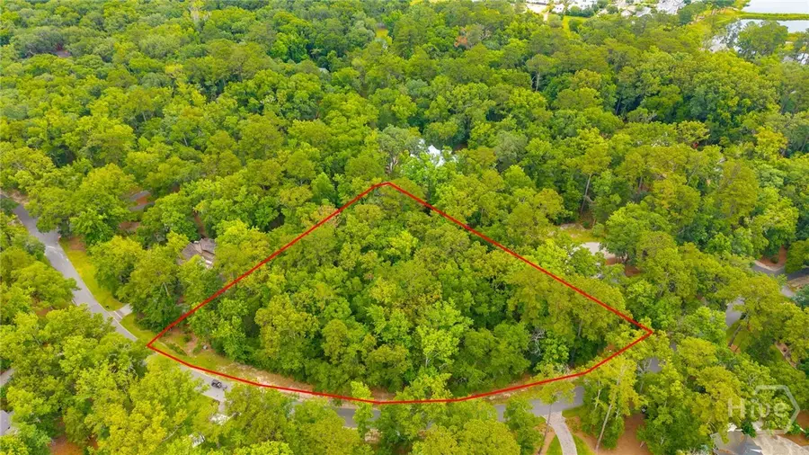 284 Hidden Cove Drive, Richmond Hill, GA 31324 - #2