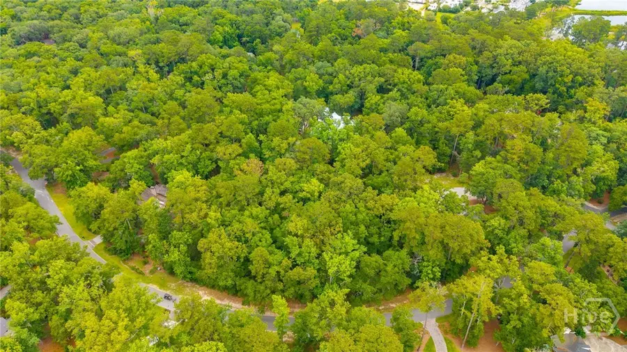 284 Hidden Cove Drive, Richmond Hill, GA 31324 - #3