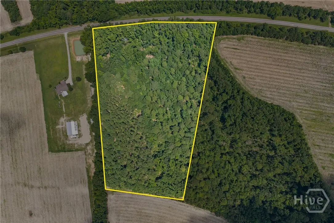 0 Old River Rd, Garfield, GA 30425 - #1