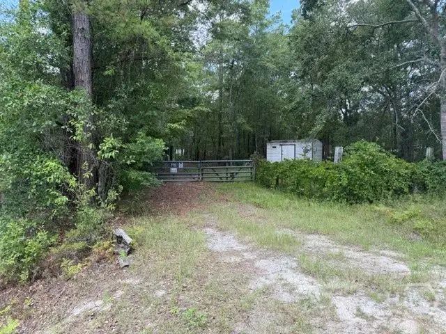 704 Mack English Road, Ellabell, GA 31308 - #2