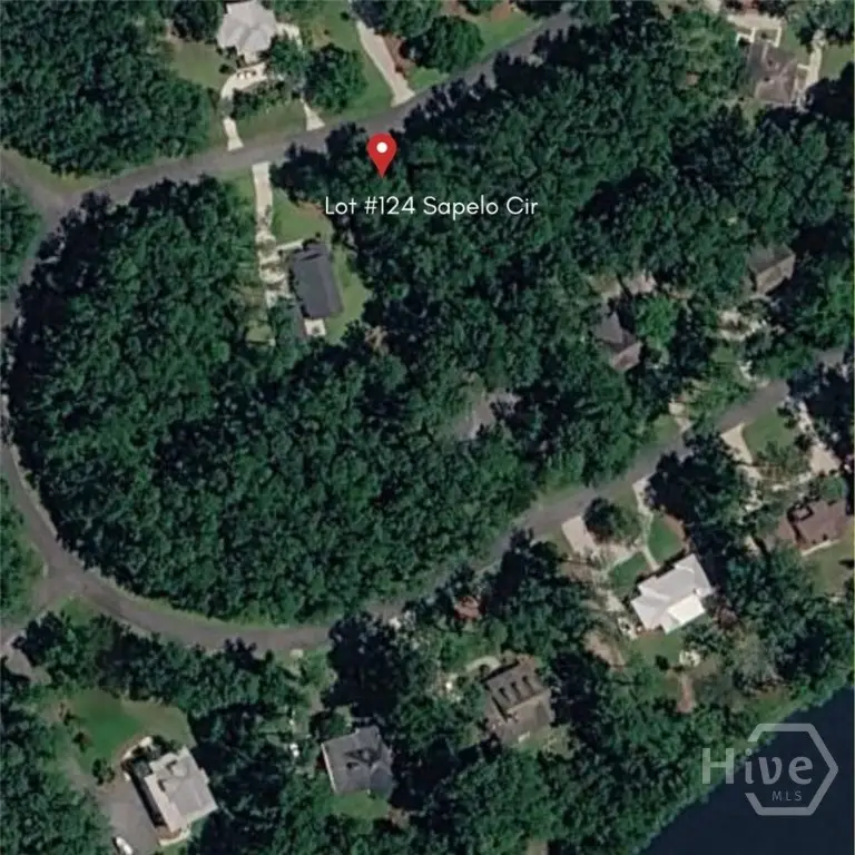 Lot 124 Sapelo Circle, Townsend, GA 31331 - #2