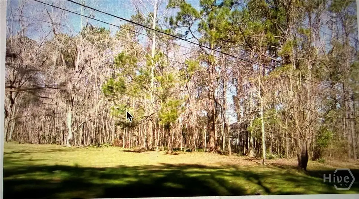 0 & 2065 Grove Point Road, Savannah, GA 31419 - #1