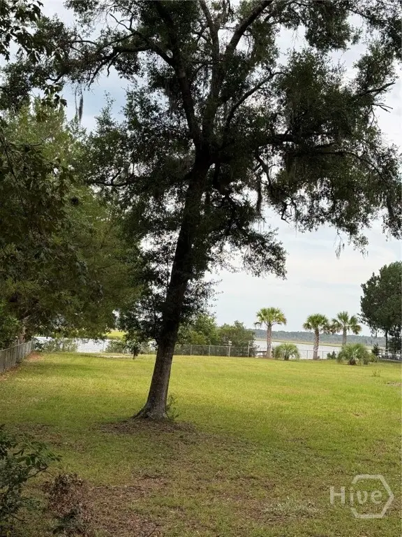 0 Gillican Avenue Ne, Townsend, GA 31331 - #1