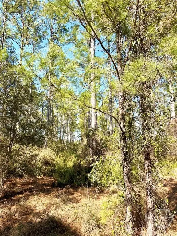 0 Marsh Way, Townsend, GA 31331