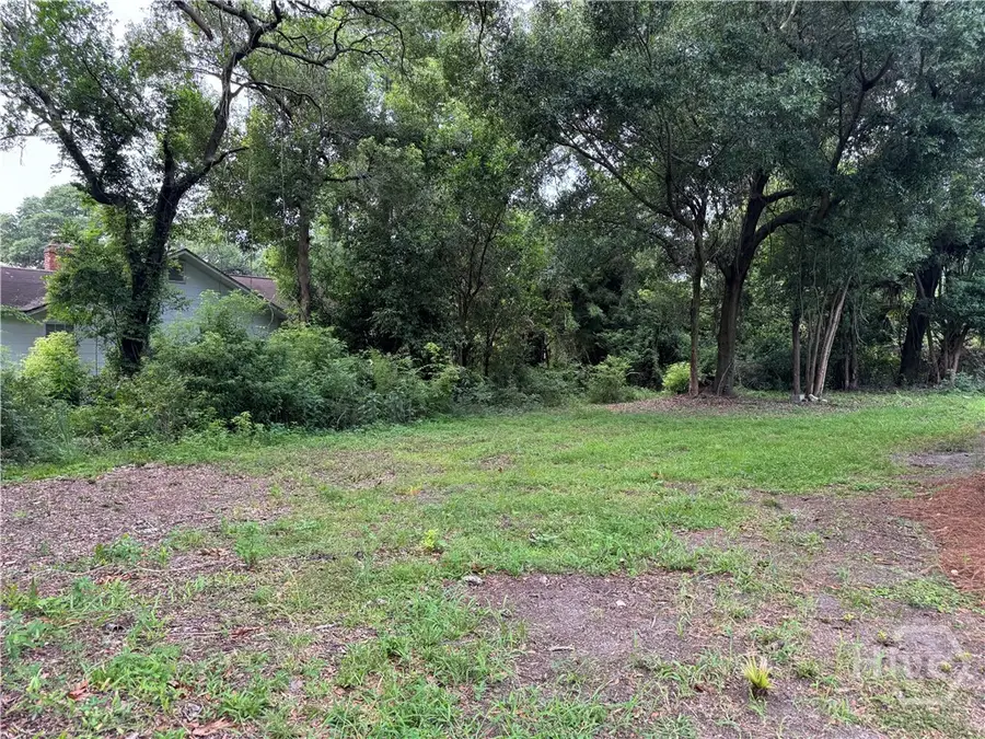 503 Durant Avenue, Savannah, GA 31404 - #2