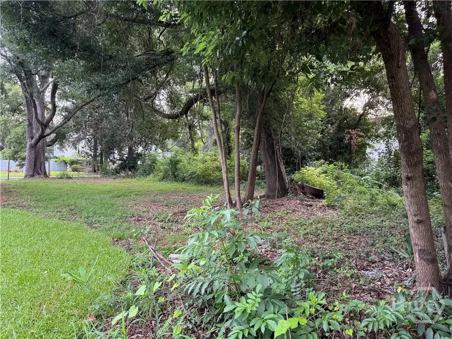 503 Durant Avenue, Savannah, GA 31404 - #3