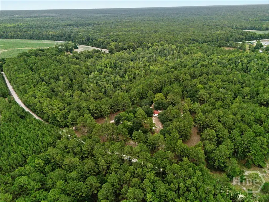 200 George Drive, Brooklet, GA 30415 - #2