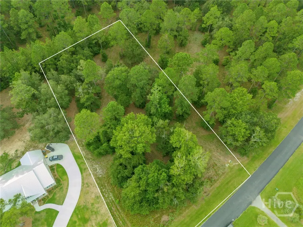 70 NE Coopers Point Drive Ne, Townsend, GA 31331 - #1