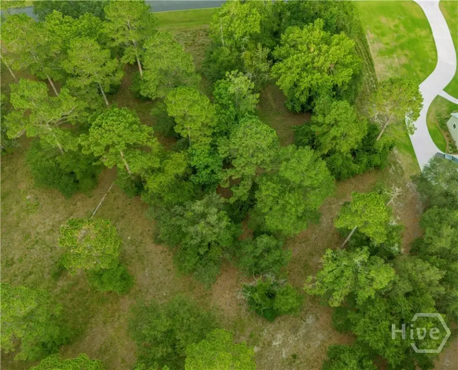 70 NE Coopers Point Drive Ne, Townsend, GA 31331 - #3