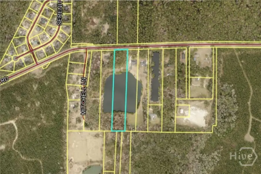 1954 Oak Level Road, Richmond Hill, GA 31324 - #3