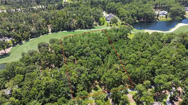 388 Belted Kingfisher Lane, Richmond Hill, GA 31324