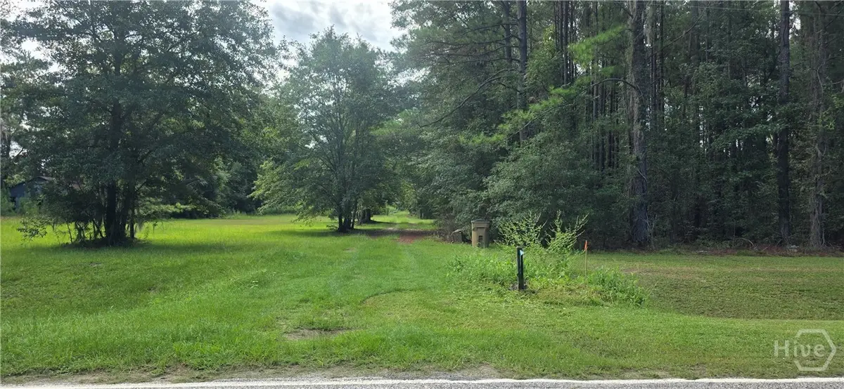 492 Reedsville Road, Clyo, GA 31303 - #1