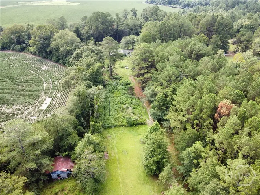 492 Reedsville Road, Clyo, GA 31303 - #2