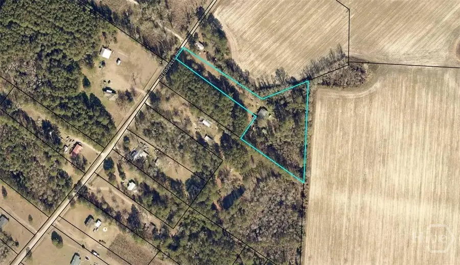 492 Reedsville Road, Clyo, GA 31303 - #3