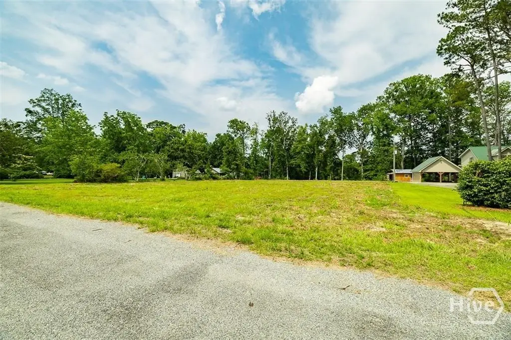 0 Seines Landing, Springfield, GA 31329 - #1