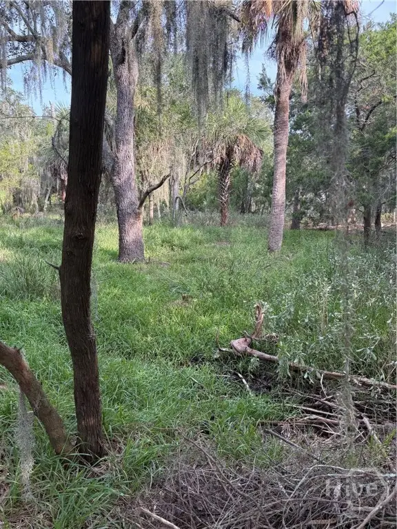 0 2nd Street, Savannah, GA 31410 - #2