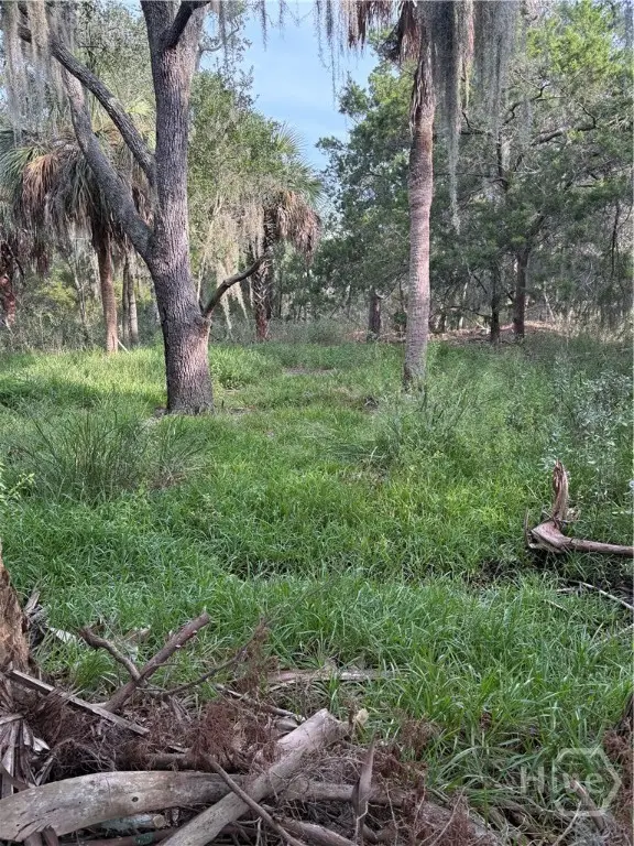 0 2nd Street, Savannah, GA 31410 - #3