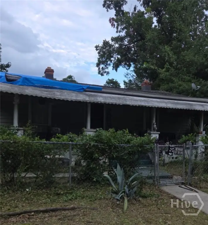242 Eagle Street, Savannah, GA 31415 - #1
