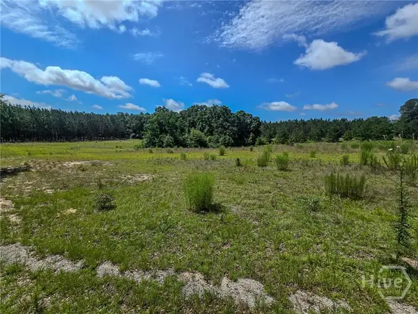 0 Village Road, Sylvania, GA 30467