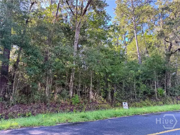 0 Cattle Hammock Road, Midway, GA 31320