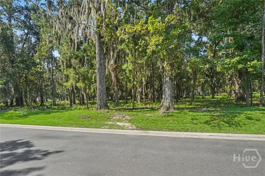 183 Little Lulu Lane, Richmond Hill, GA 31324 - #2