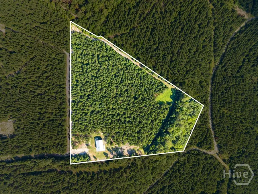 3875 Poor Robin Road, Sylvania, GA 30467 - #2