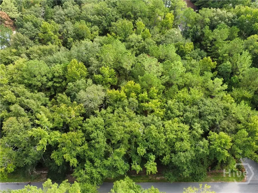 0 Poplar, Guyton, GA 31312 - #2