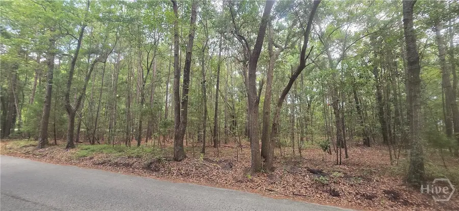 0 Poplar, Guyton, GA 31312 - #3