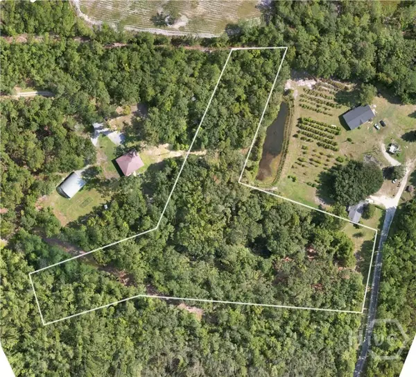 0 Williams Road, Guyton, GA 31312