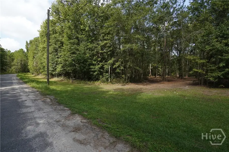 0 Williams Road, Guyton, GA 31312 - #2