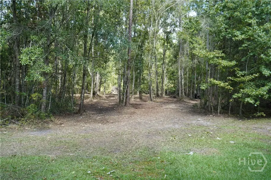 0 Williams Road, Guyton, GA 31312 - #3