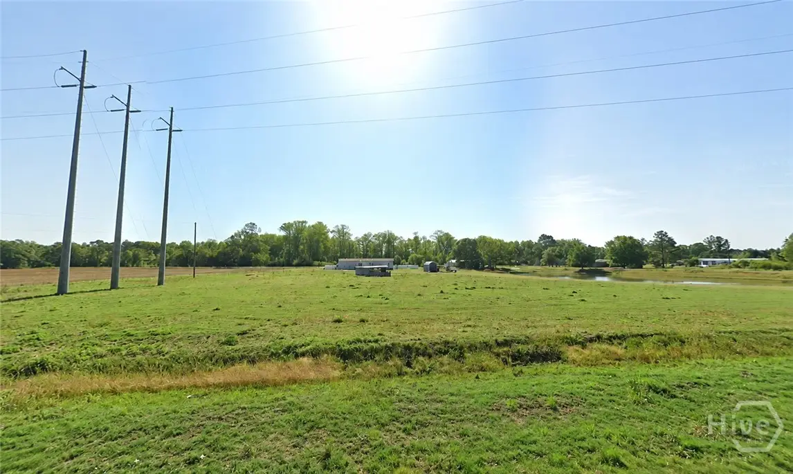 Lot 1 Us-301, Claxton, GA 30417 - #1
