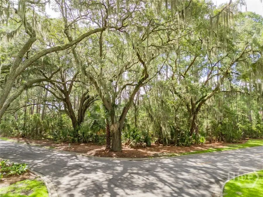 1 Hasleiters Retreat, Savannah, GA 31411 - #2