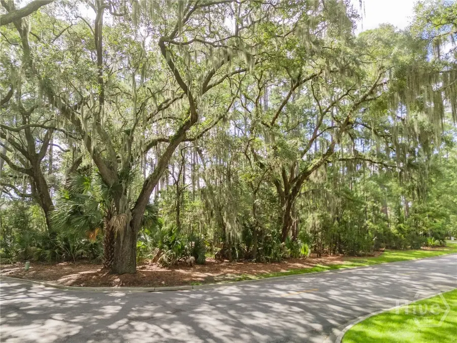 1 Hasleiters Retreat, Savannah, GA 31411 - #3