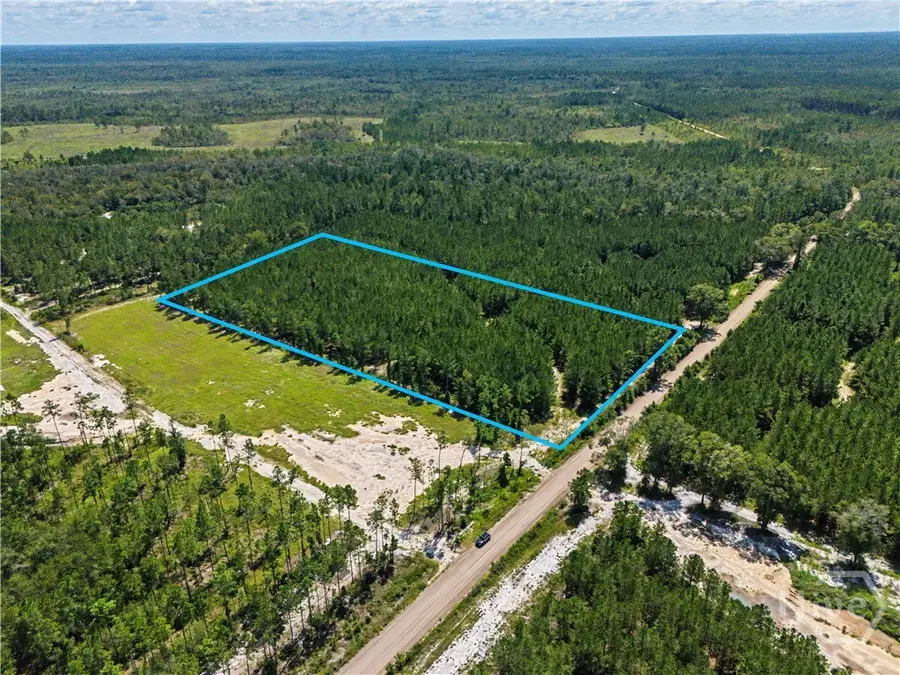 LOT 1-O Mill Branch Club Road, Pembroke, GA 31321 - #2