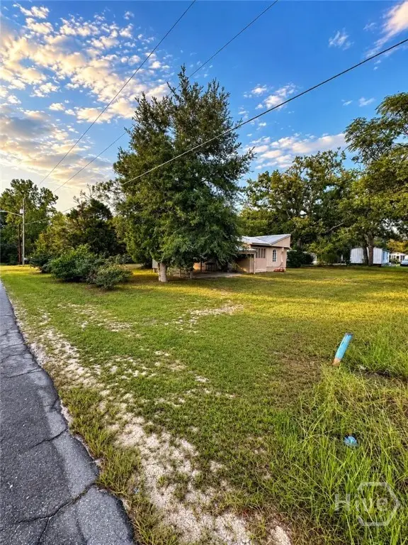 118 Mosley Street, Reidsville, GA 30453 - #3