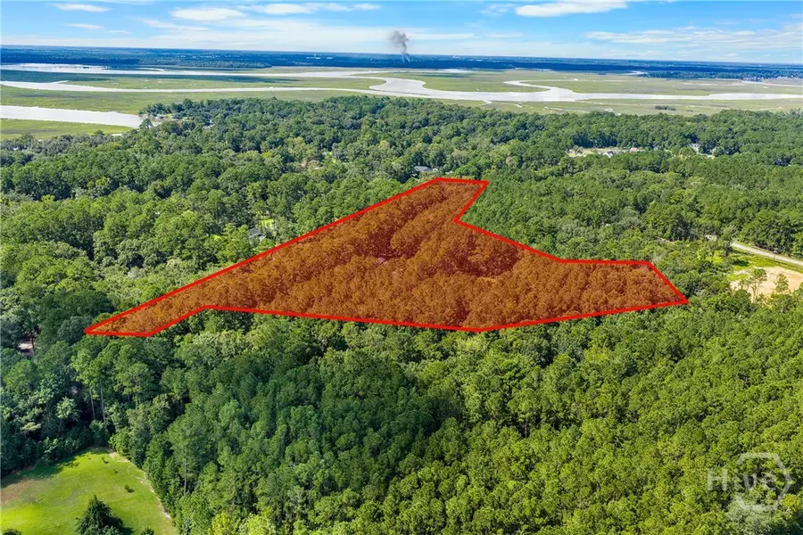 0000 Belfast River Road, Richmond Hill, GA 31324 - #2