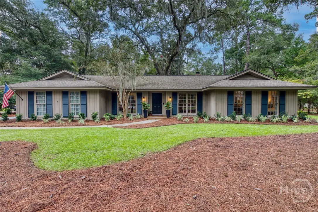 1 Blackbeard Lane, Savannah, GA 31411 - #1