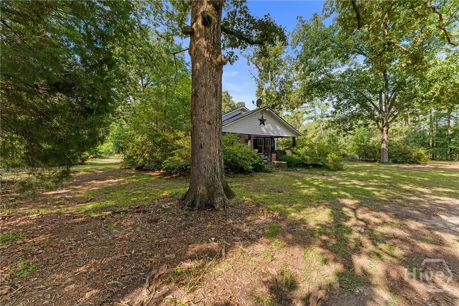 314 Long Bridge Road, Springfield, GA 31329 - #3