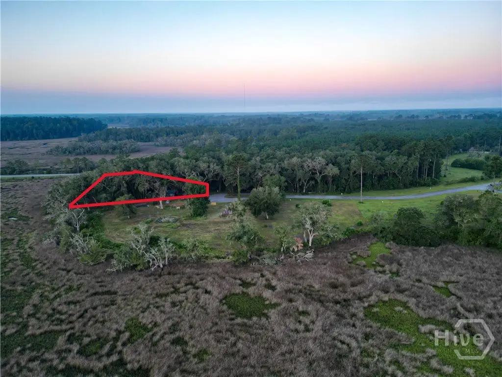 Lot #2 1194 Retreat Lane Ne, Townsend, GA 31331 - #1
