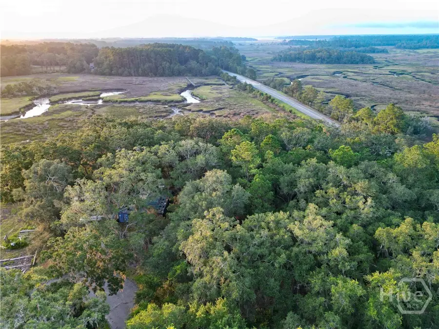Lot #2 1194 Retreat Lane Ne, Townsend, GA 31331 - #3