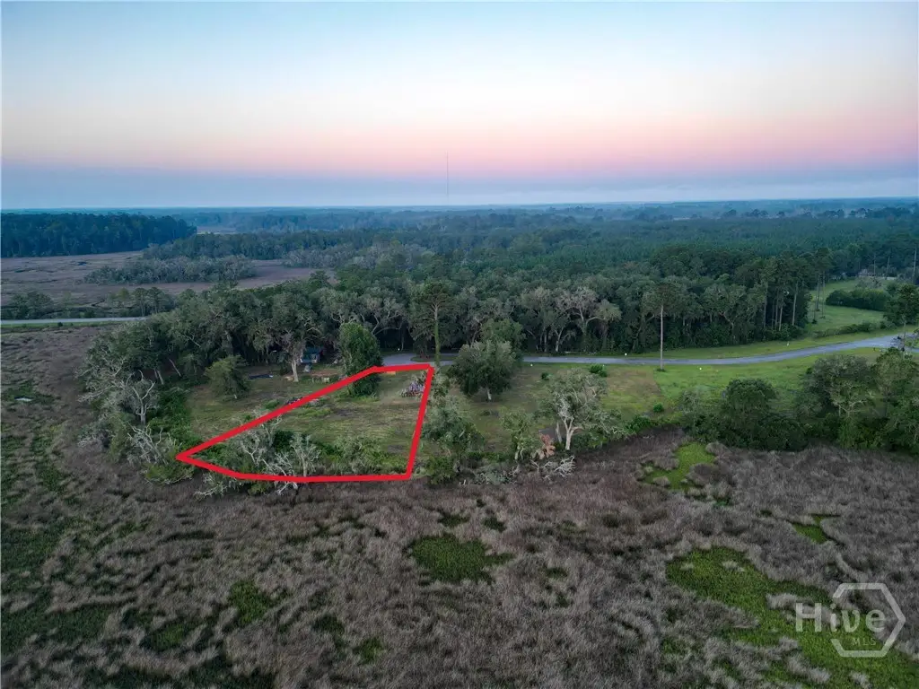 Lot #4 1189 Retreat Lane Ne, Townsend, GA 31331 - #1