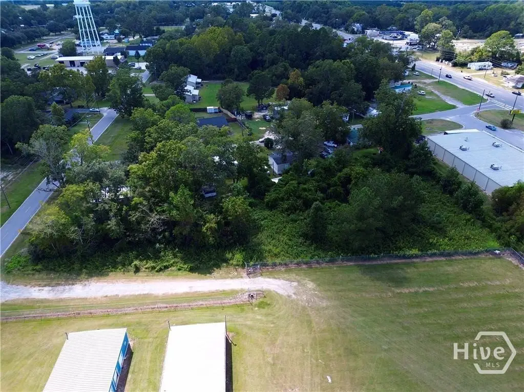 0 Turnpike Road, Hagan, GA 30417 - #1