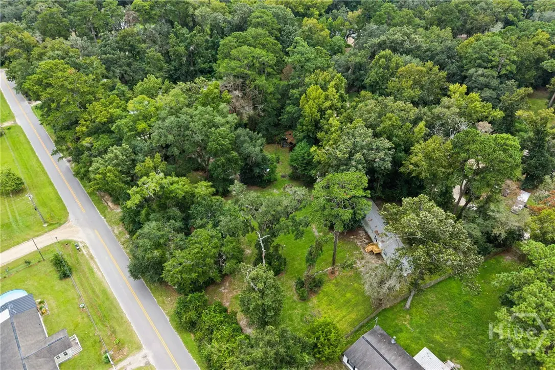 253 Cornfield Avenue, Midway, GA 31320 - #1
