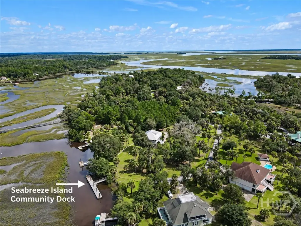 13 Seabreeze Drive, Darien, GA 31305 - #1