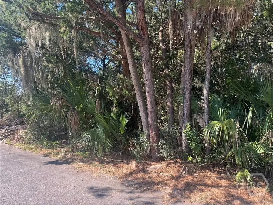3 Shad Court, Savannah, GA 31410 - #3