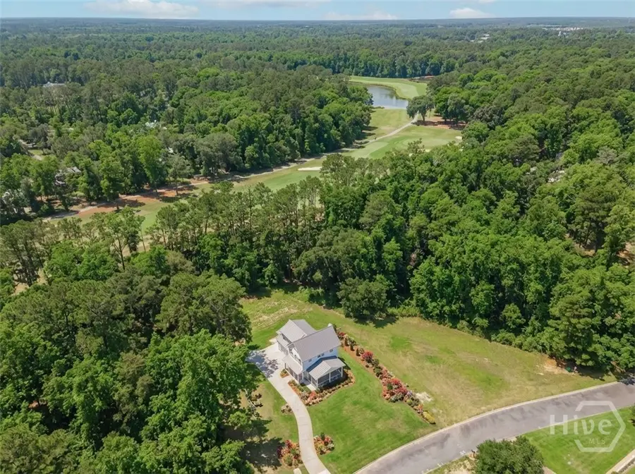 213 Little Lulu Lane, Richmond Hill, GA 31324 - #3